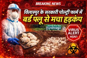 बिलासपुर के सरकारी पोल्ट्री फार्म में बर्ड फ्लू से मचा हड़कंप